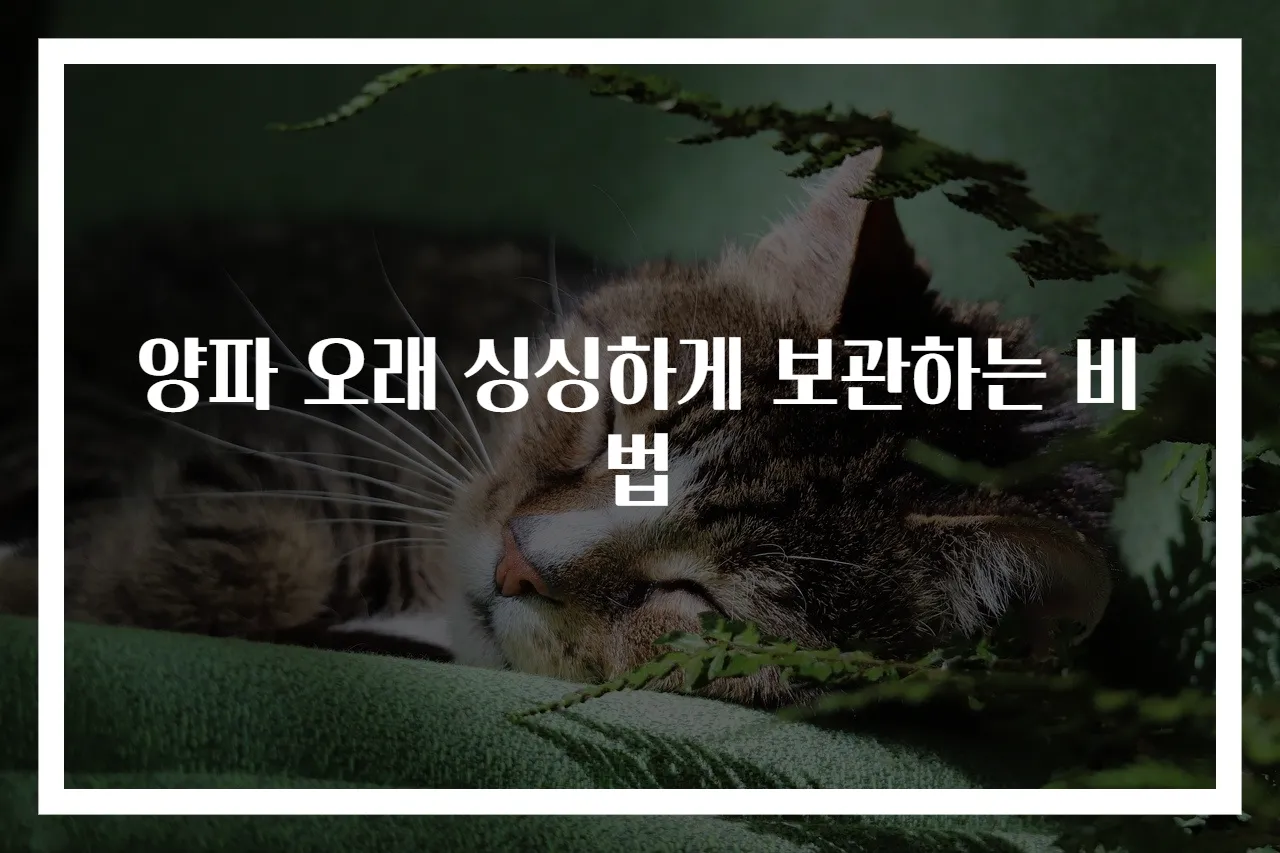 양파 오래 싱싱하게 보관하는 비법