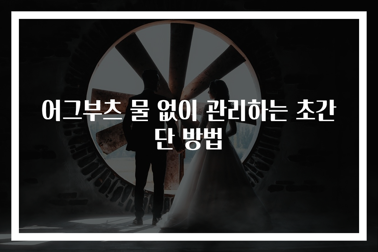 어그부츠 물 없이 관리하는 초간단 방법