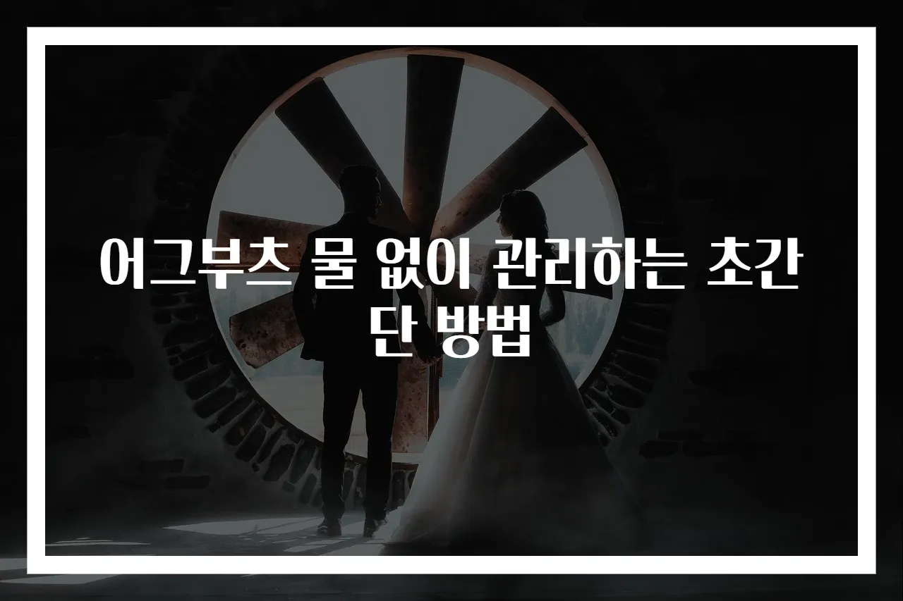 어그부츠 물 없이 관리하는 초간단 방법