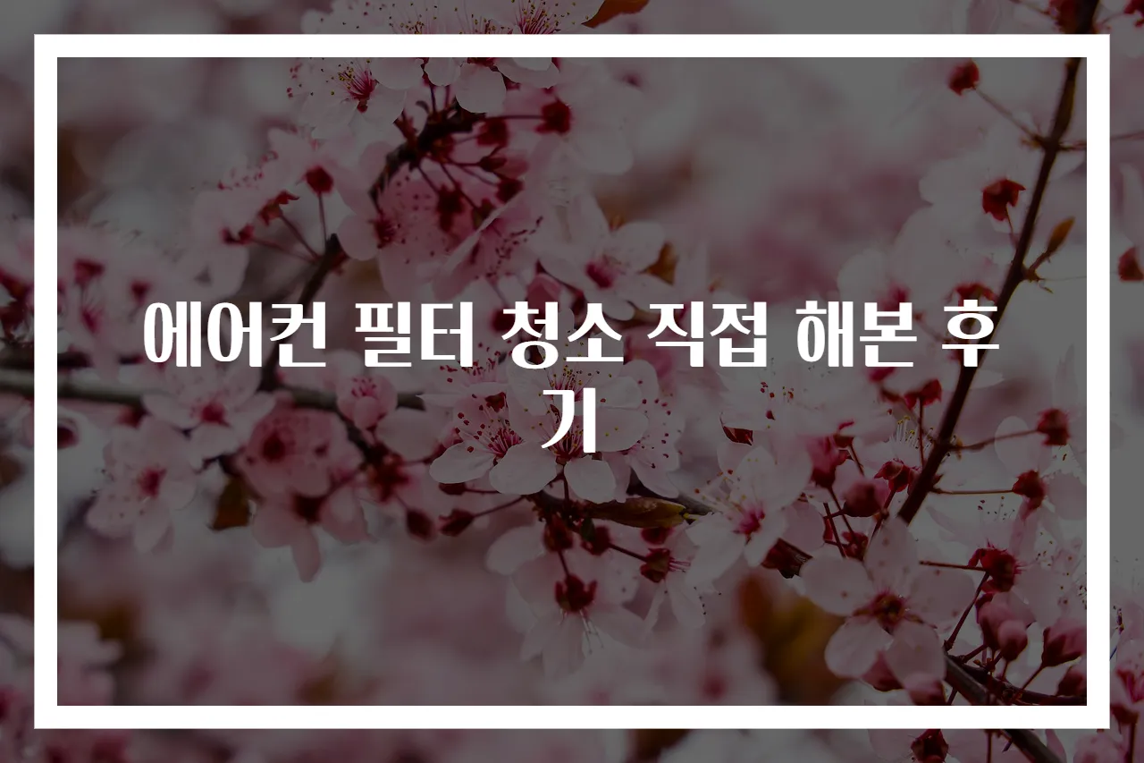 에어컨 필터 청소 직접 해본 후기
