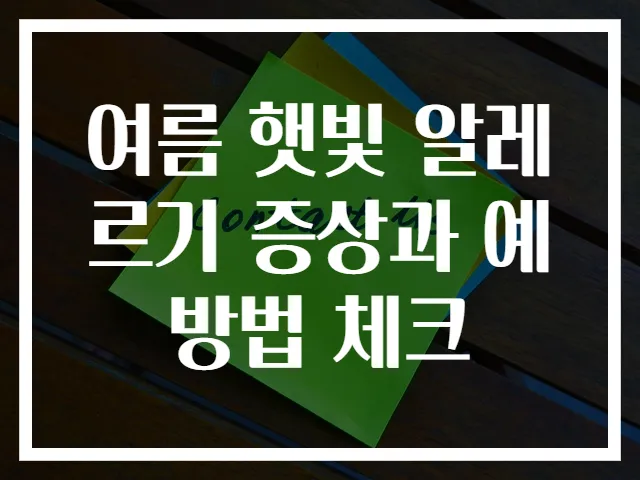 여름 햇빛 알레르기 증상과 예방법 체크