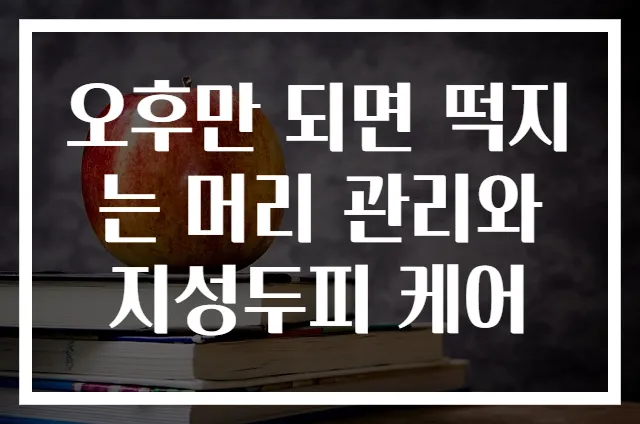 오후만 되면 떡지는 머리 관리와 지성두피 케어