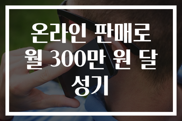 온라인 판매로 월 300만 원 달성기