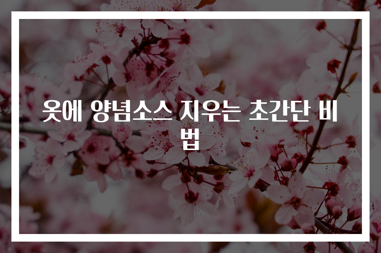 옷에 양념소스 지우는 초간단 비법