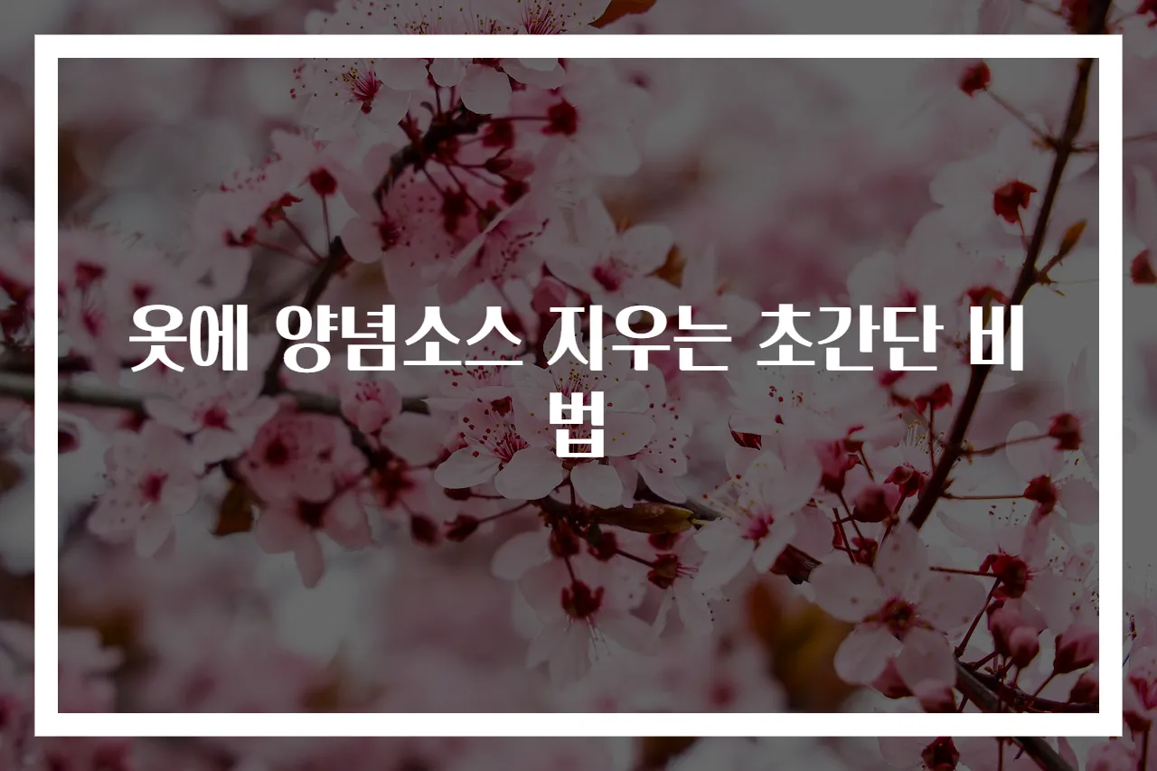 옷에 양념소스 지우는 초간단 비법