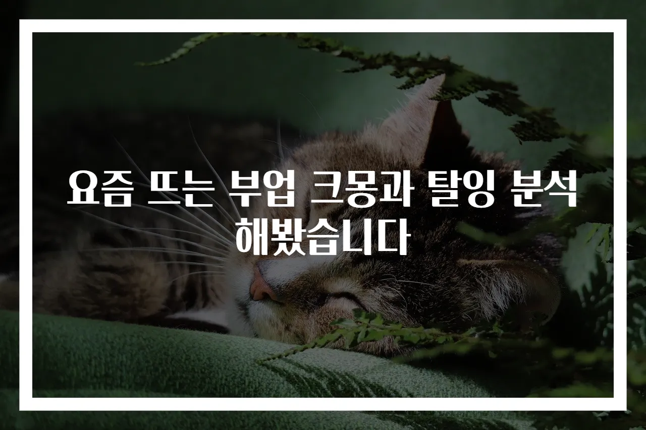 요즘 뜨는 부업 크몽과 탈잉 분석해봤습니다
