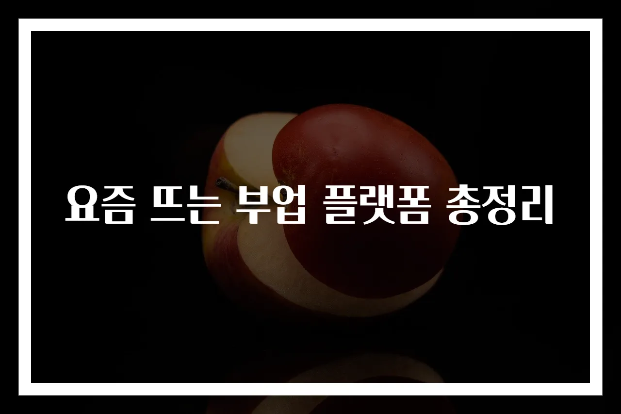 요즘 뜨는 부업 플랫폼 총정리