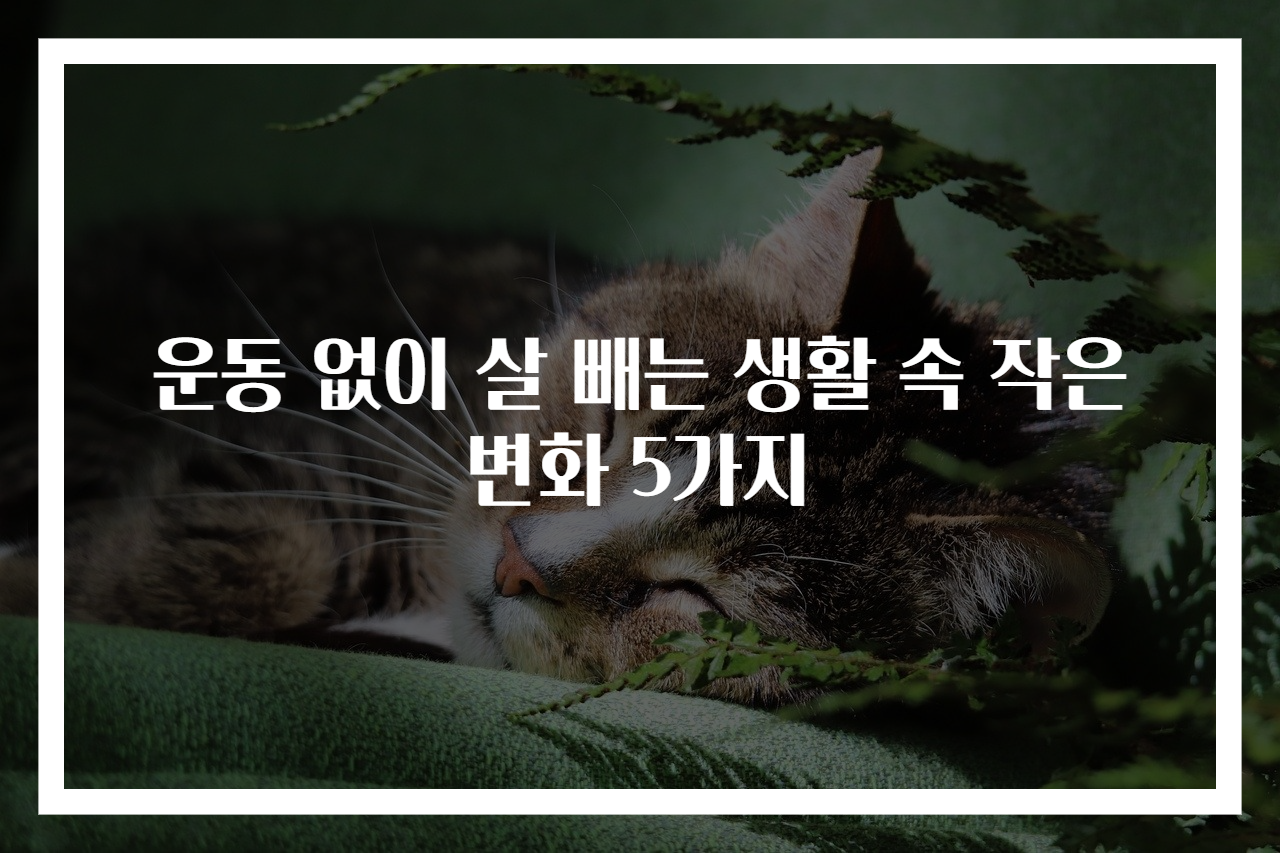 운동 없이 살 빼는 생활 속 작은 변화 5가지