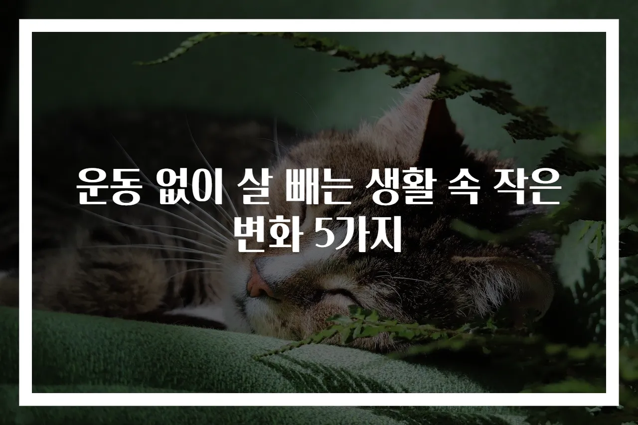 운동 없이 살 빼는 생활 속 작은 변화 5가지