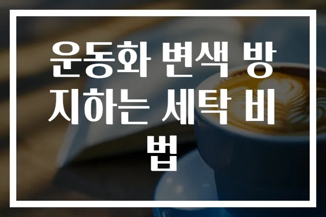 운동화 변색 방지하는 세탁 비법