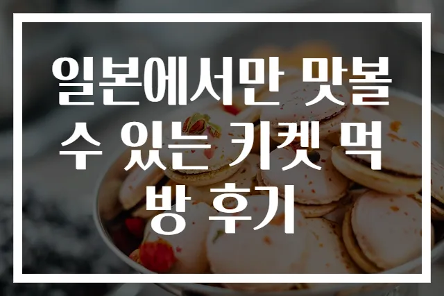 일본에서만 맛볼 수 있는 키켓 먹방 후기