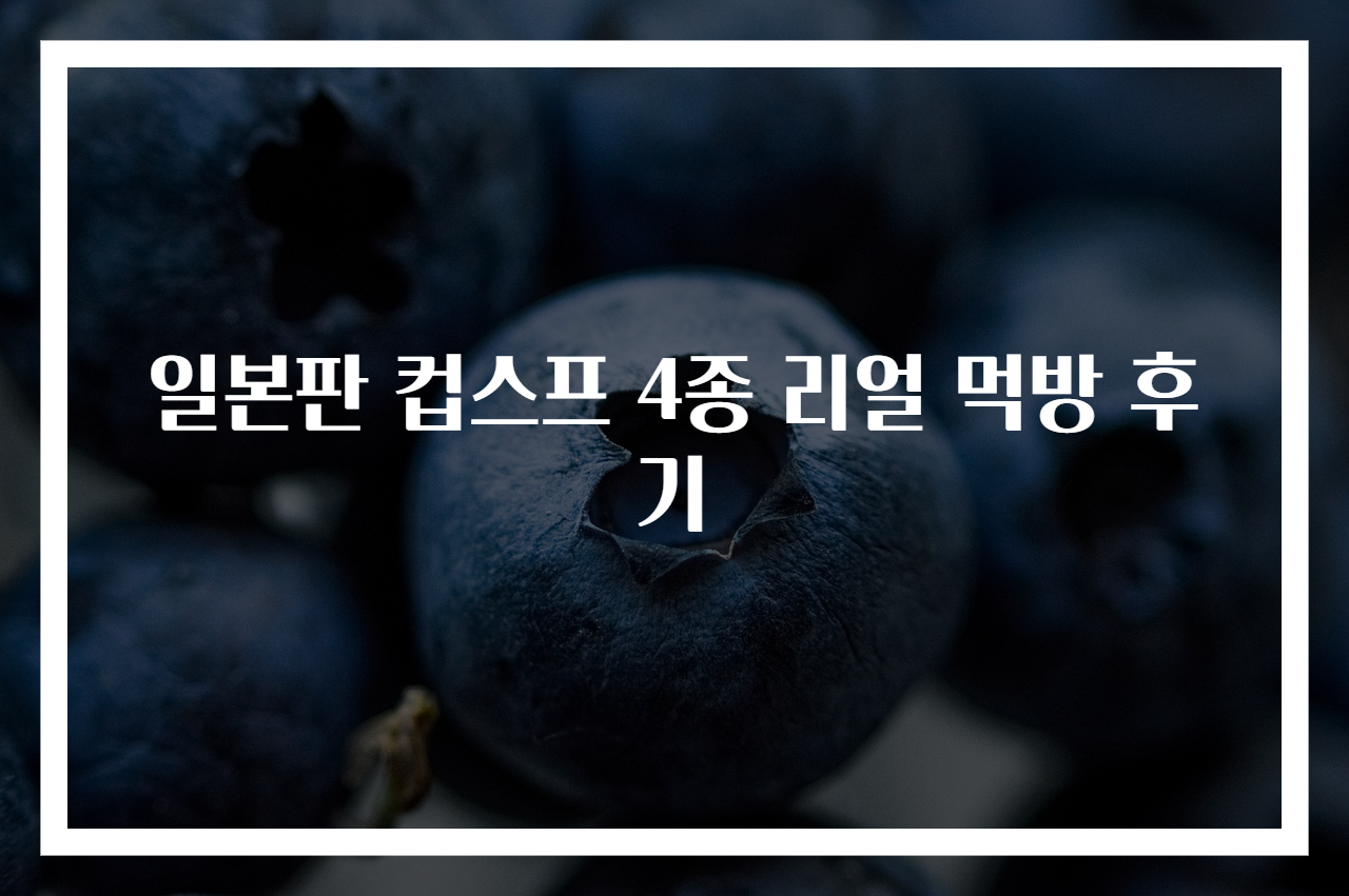 일본판 컵스프 4종 리얼 먹방 후기