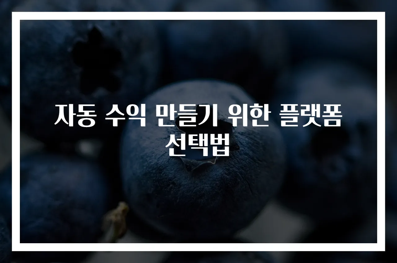 자동 수익 만들기 위한 플랫폼 선택법