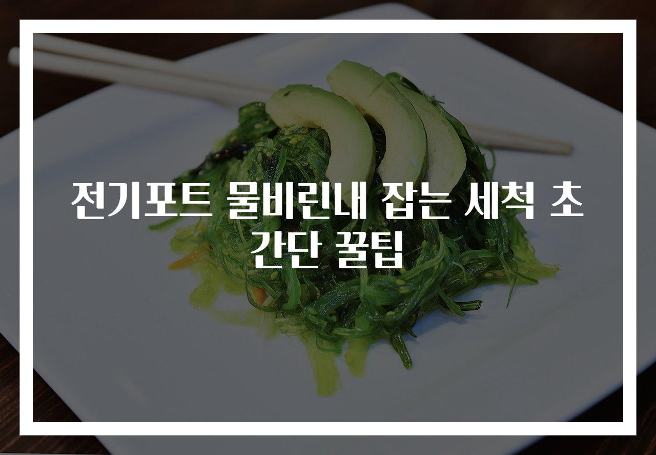 전기포트 물비린내 잡는 세척 초간단 꿀팁