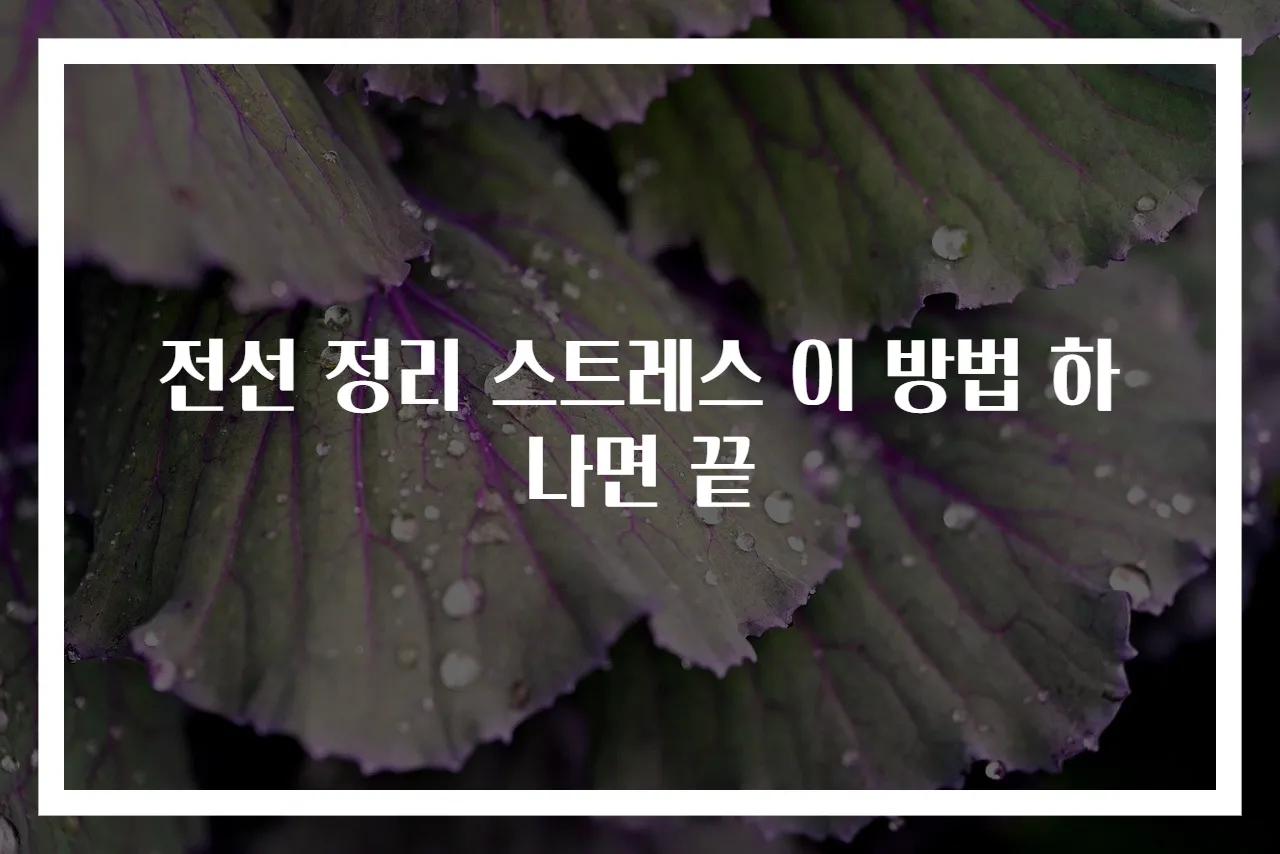 전선 정리 스트레스 이 방법 하나면 끝