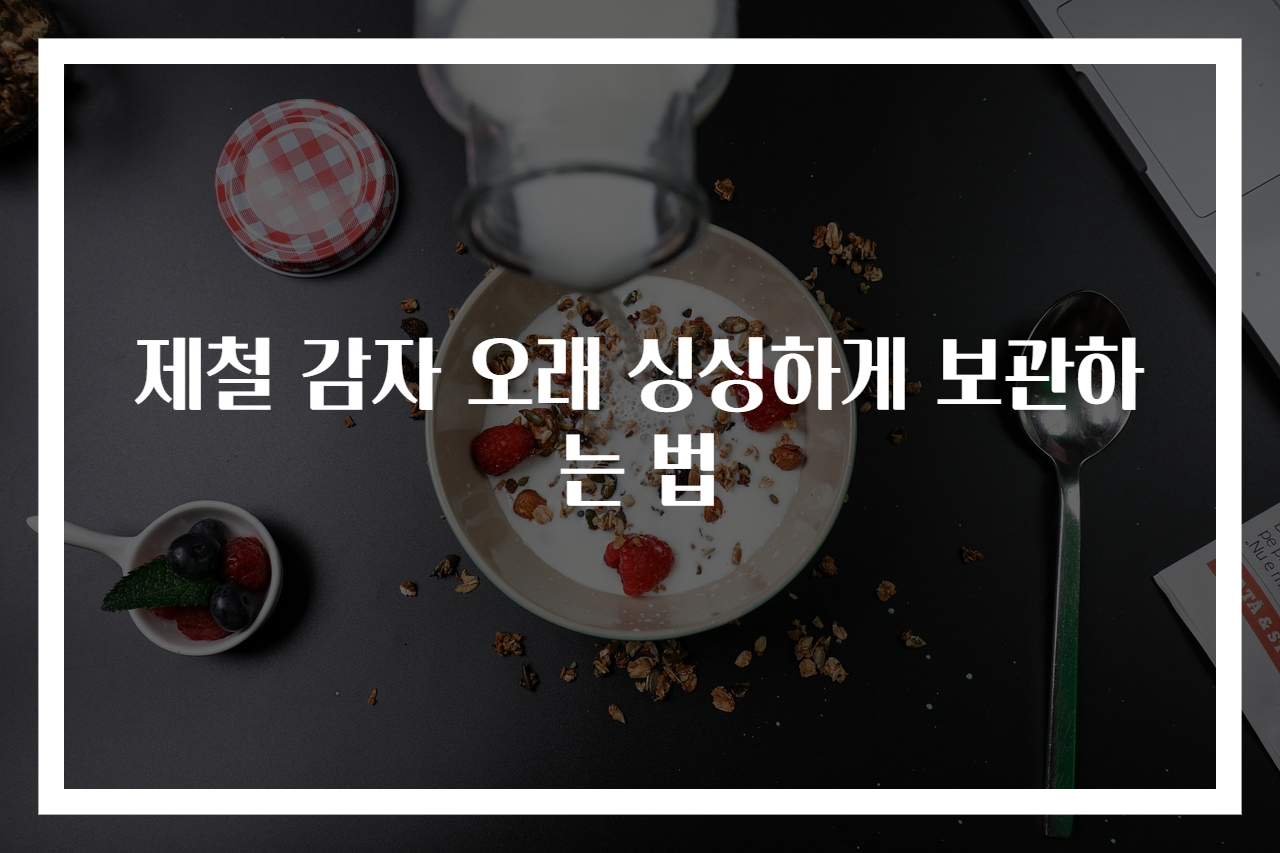 제철 감자 오래 싱싱하게 보관하는 법