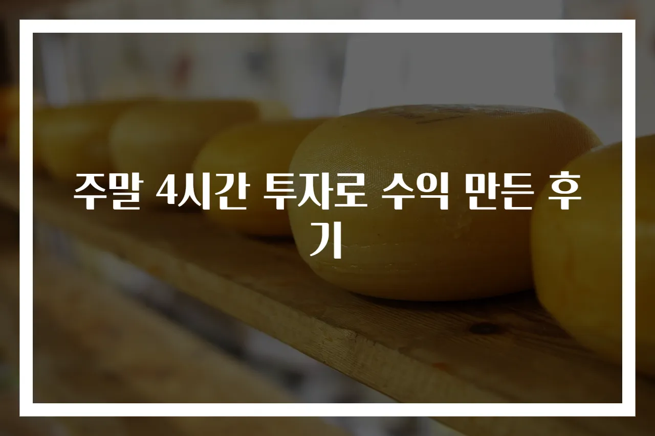 주말 4시간 투자로 수익 만든 후기