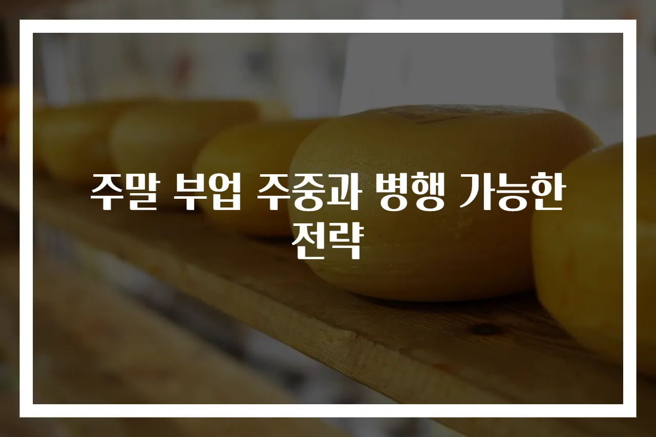 주말 부업 주중과 병행 가능한 전략