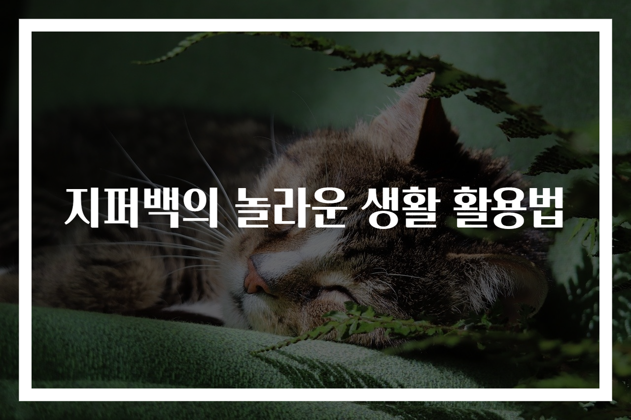 지퍼백의 놀라운 생활 활용법