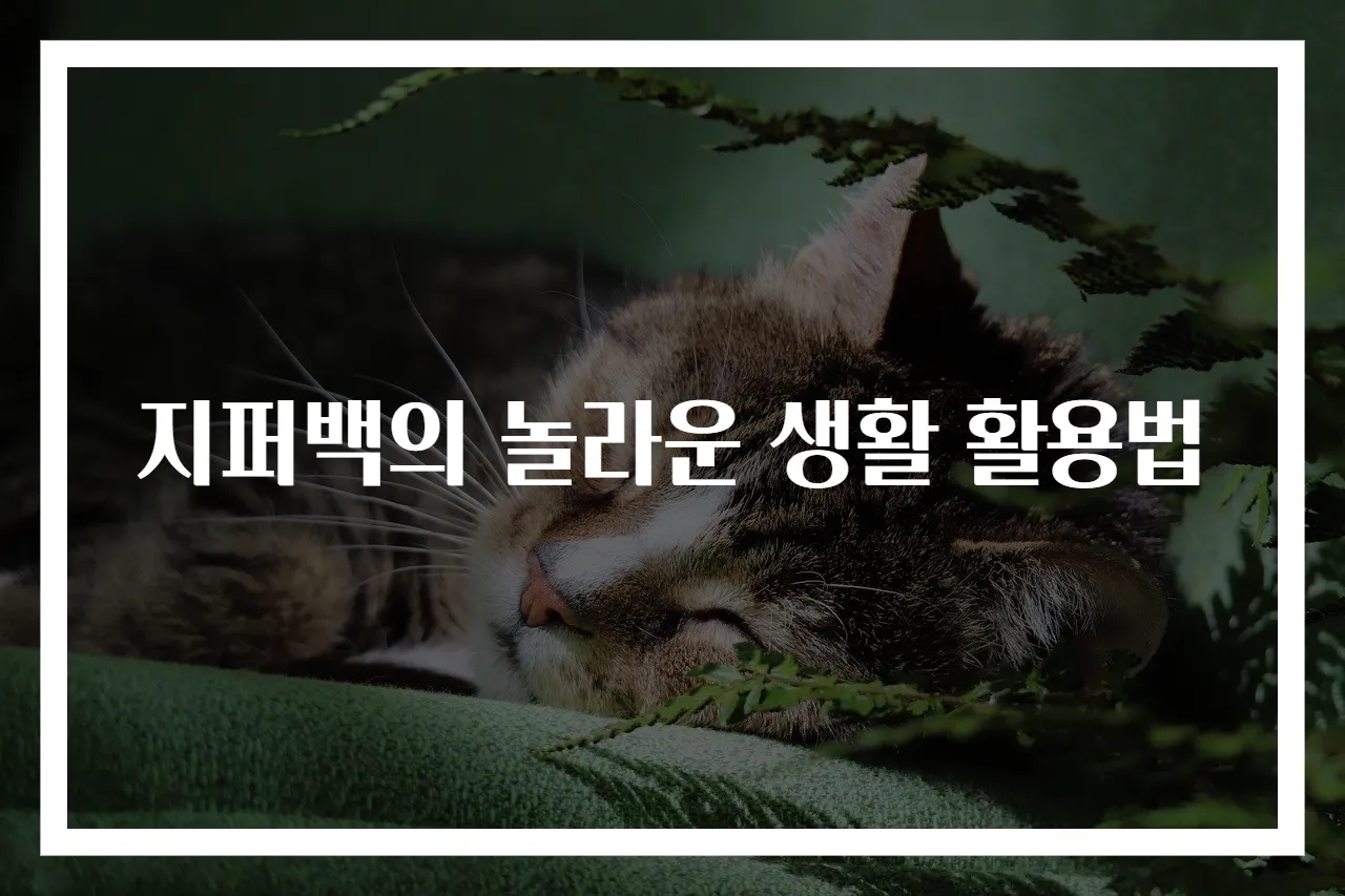 지퍼백의 놀라운 생활 활용법