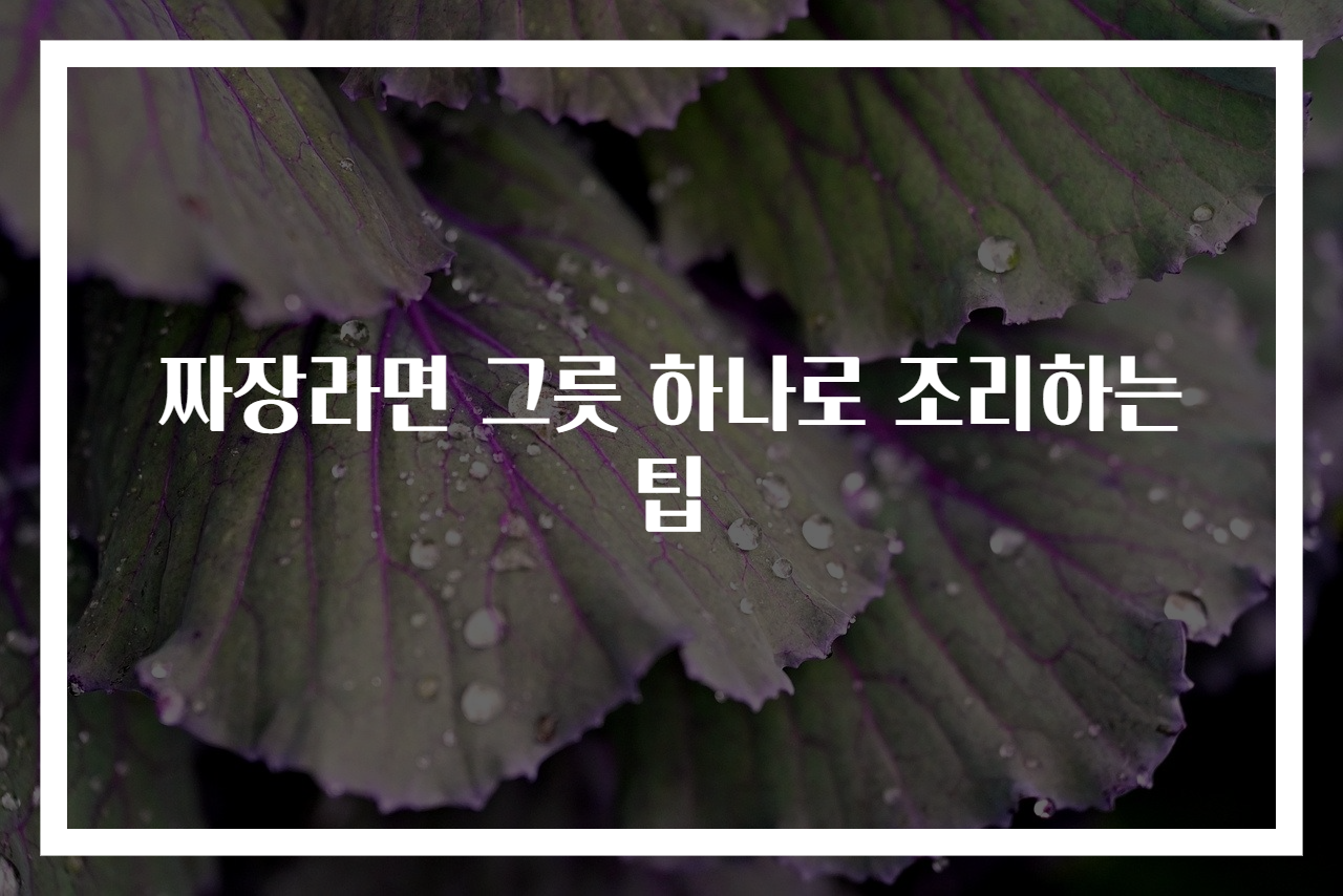 짜장라면 그릇 하나로 조리하는 팁