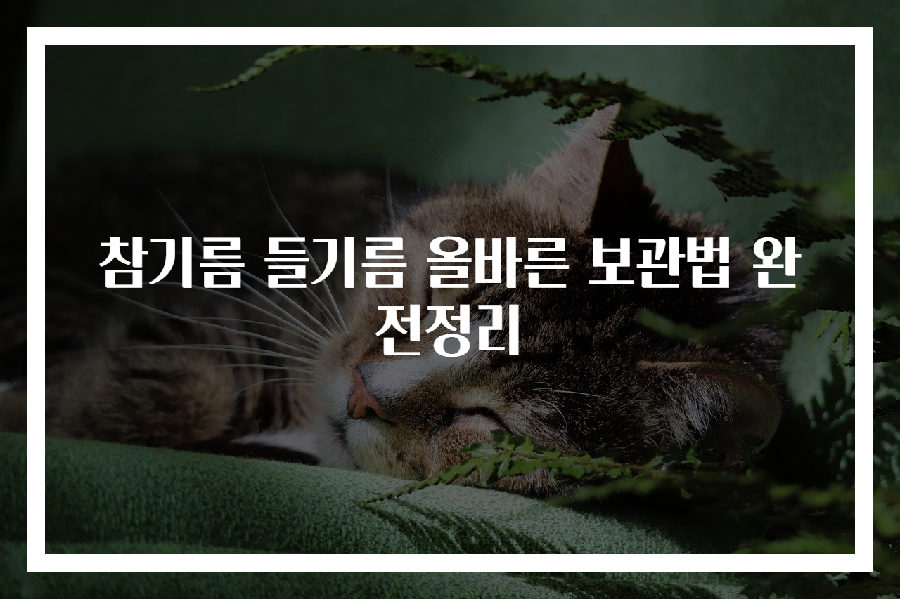 참기름 들기름 올바른 보관법 완전정리