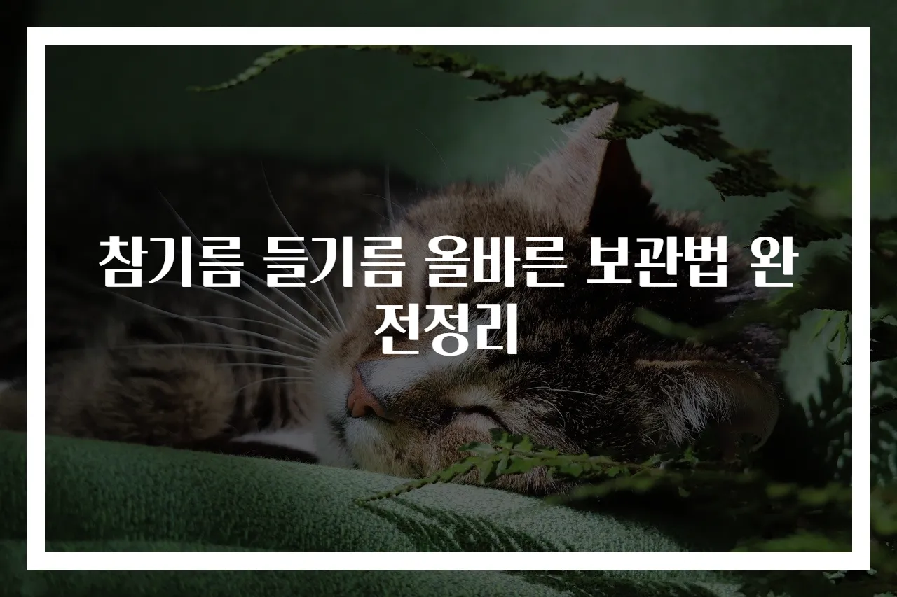 참기름 들기름 올바른 보관법 완전정리