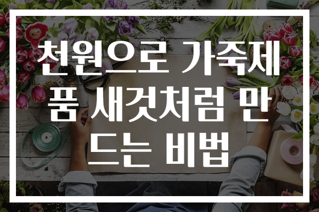 천원으로 가죽제품 새것처럼 만드는 비법