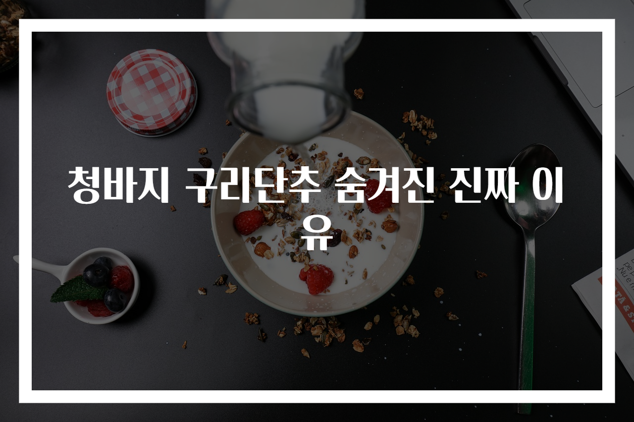 청바지 구리단추 숨겨진 진짜 이유