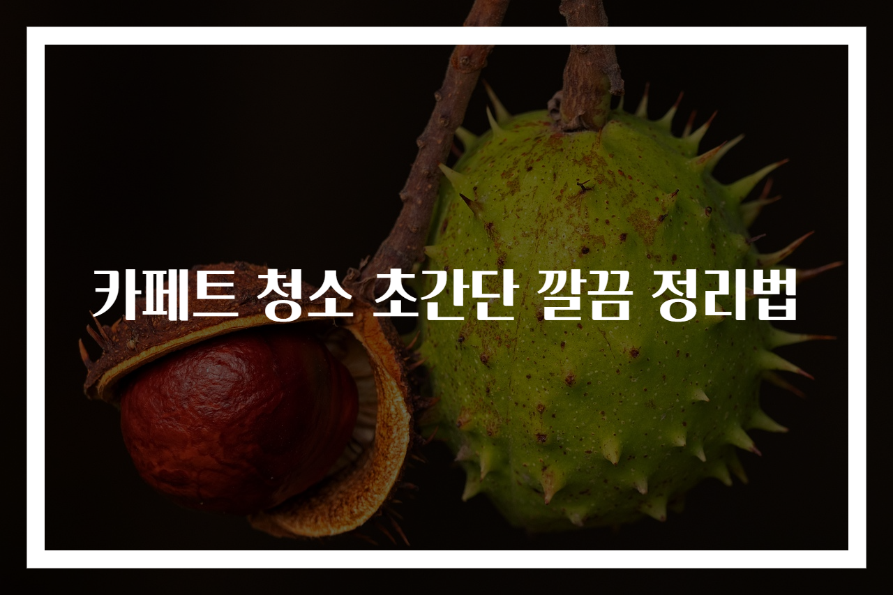 카페트 청소 초간단 깔끔 정리법