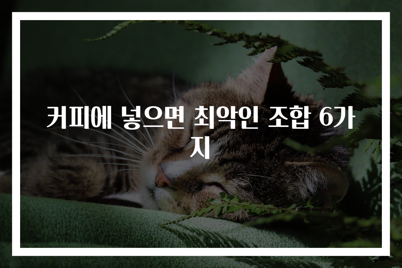 커피에 넣으면 최악인 조합 6가지