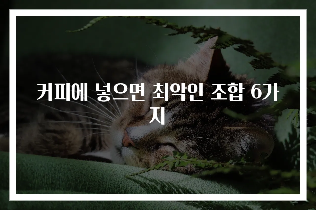 커피에 넣으면 최악인 조합 6가지