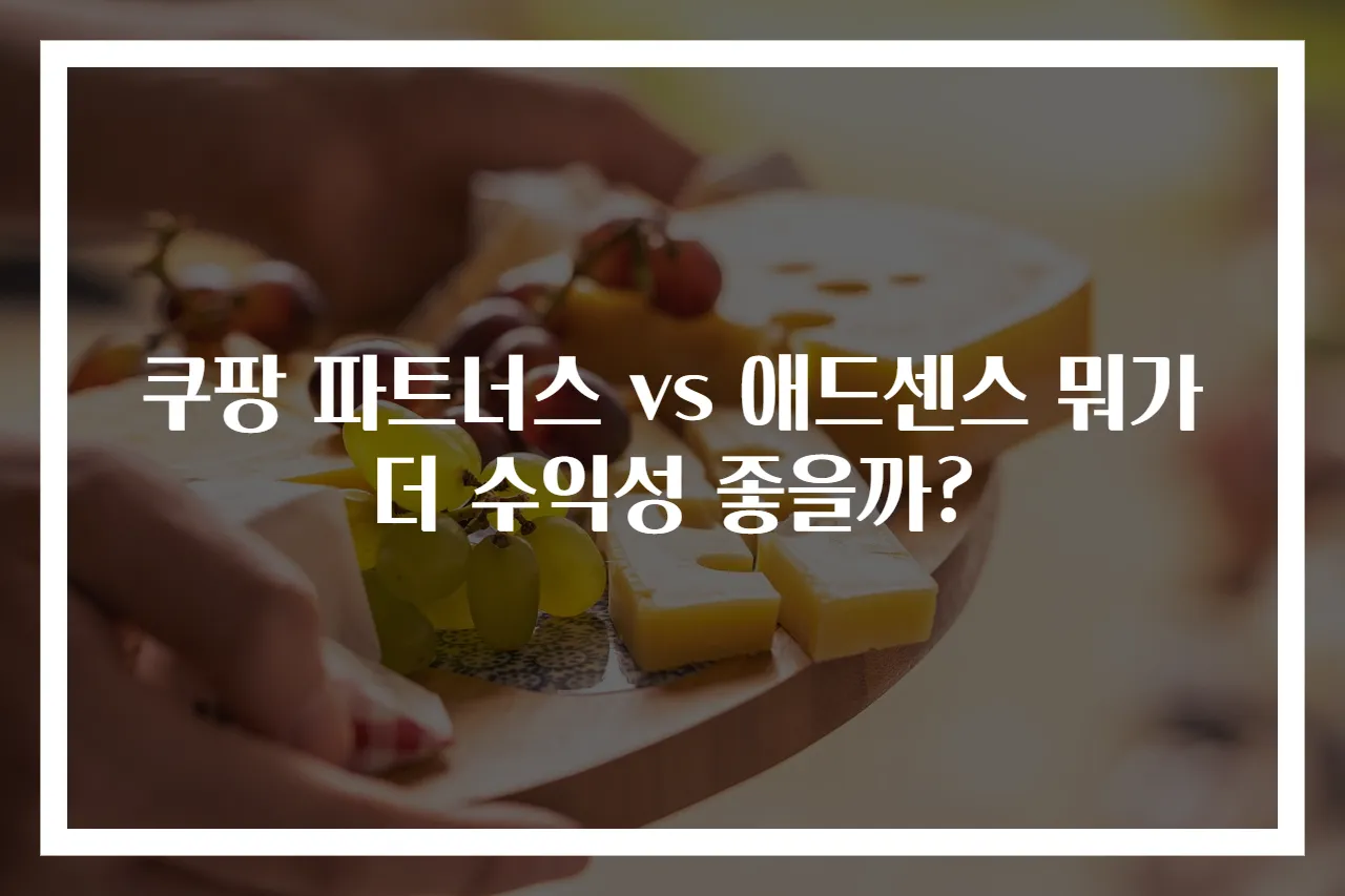 쿠팡 파트너스 vs 애드센스 뭐가 더 수익성 좋을까?