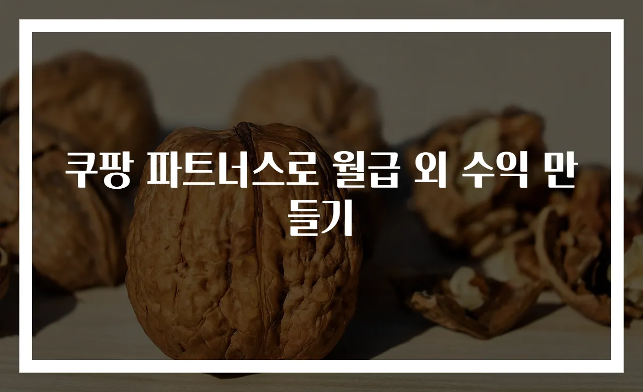 쿠팡 파트너스로 월급 외 수익 만들기