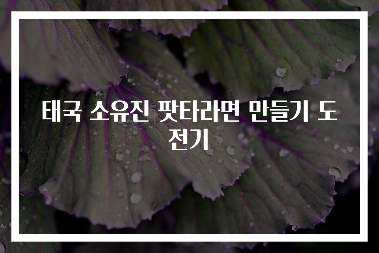 태국 소유진 팟타라면 만들기 도전기