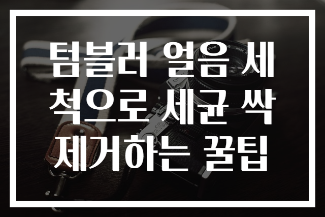 텀블러 얼음 세척으로 세균 싹 제거하는 꿀팁