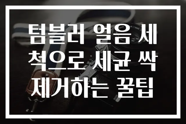 텀블러 얼음 세척으로 세균 싹 제거하는 꿀팁
