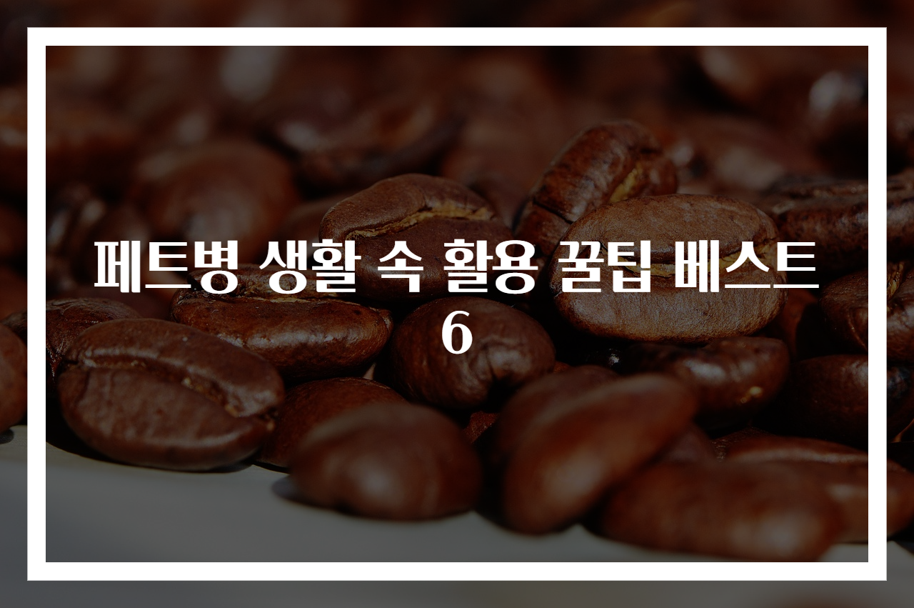 페트병 생활 속 활용 꿀팁 베스트 6