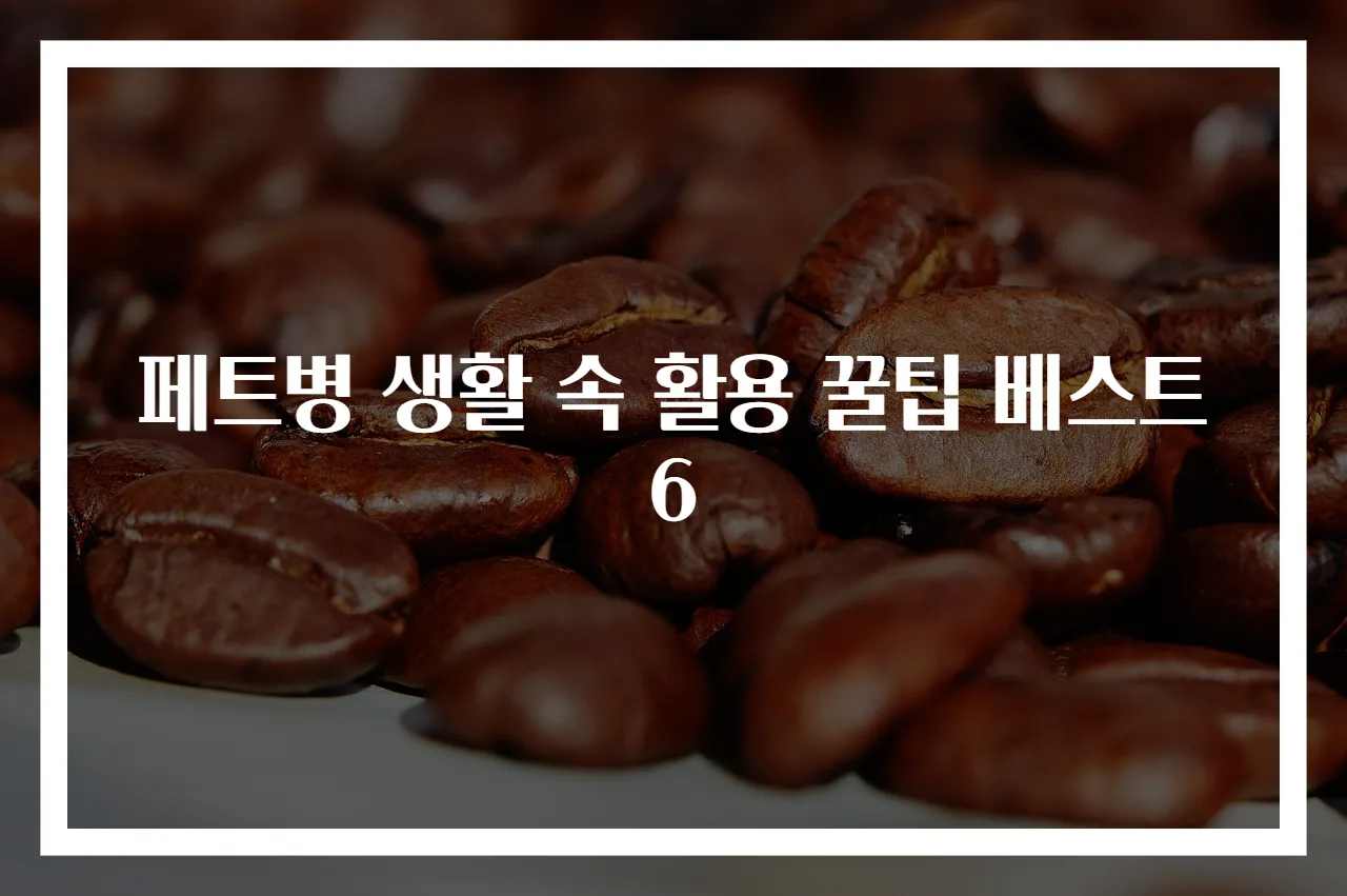 페트병 생활 속 활용 꿀팁 베스트 6