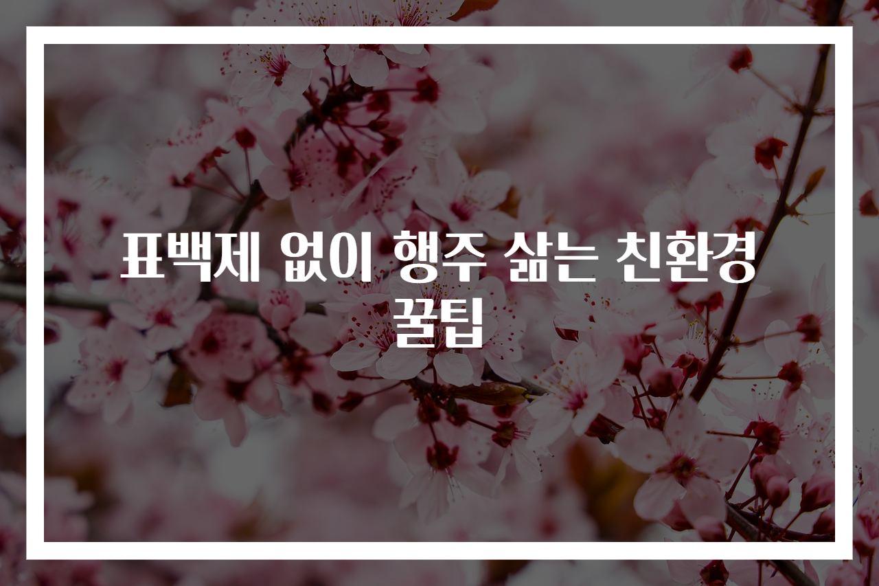 표백제 없이 행주 삶는 친환경 꿀팁