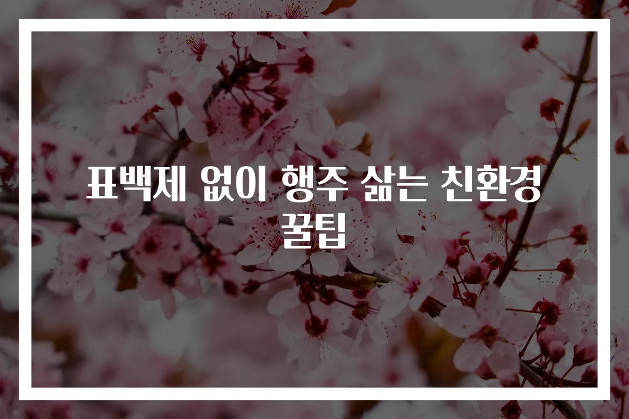 표백제 없이 행주 삶는 친환경 꿀팁