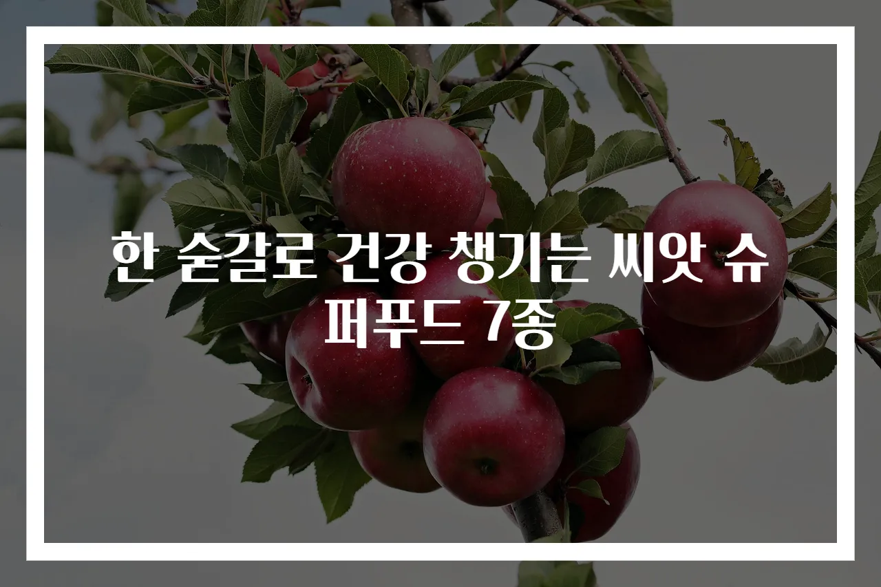한 숟갈로 건강 챙기는 씨앗 슈퍼푸드 7종