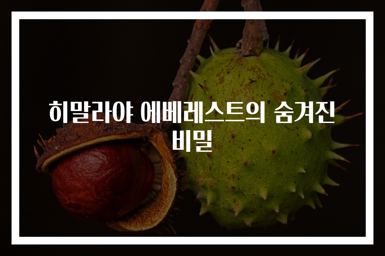 히말라야 에베레스트의 숨겨진 비밀
