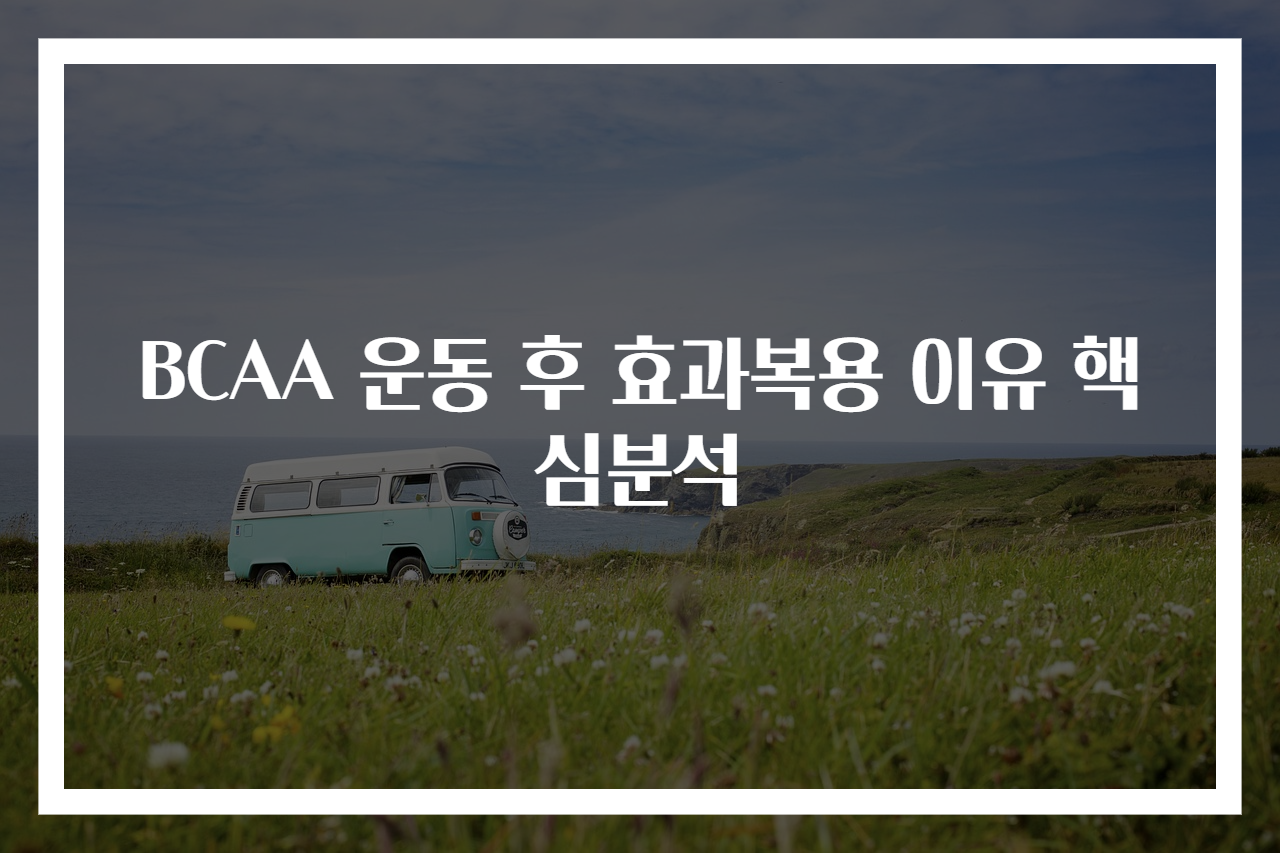 BCAA 운동 후 효과복용 이유 핵심분석