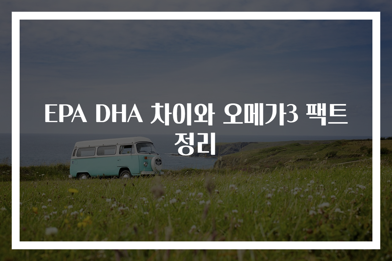 EPA DHA 차이와 오메가3 팩트 정리