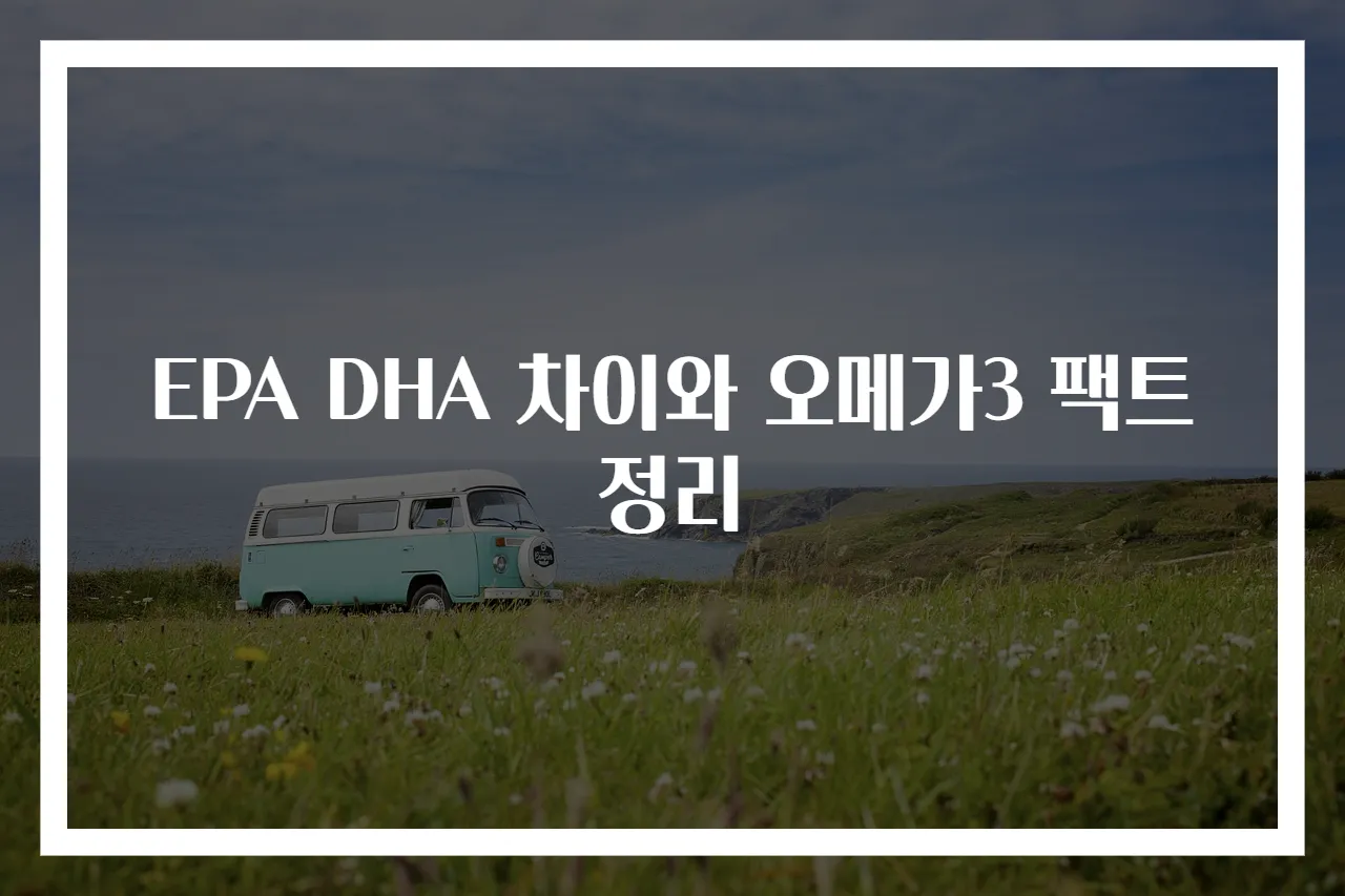 EPA DHA 차이와 오메가3 팩트 정리
