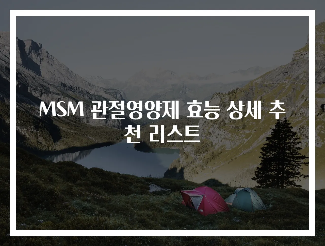MSM 관절영양제 효능 상세 추천 리스트
