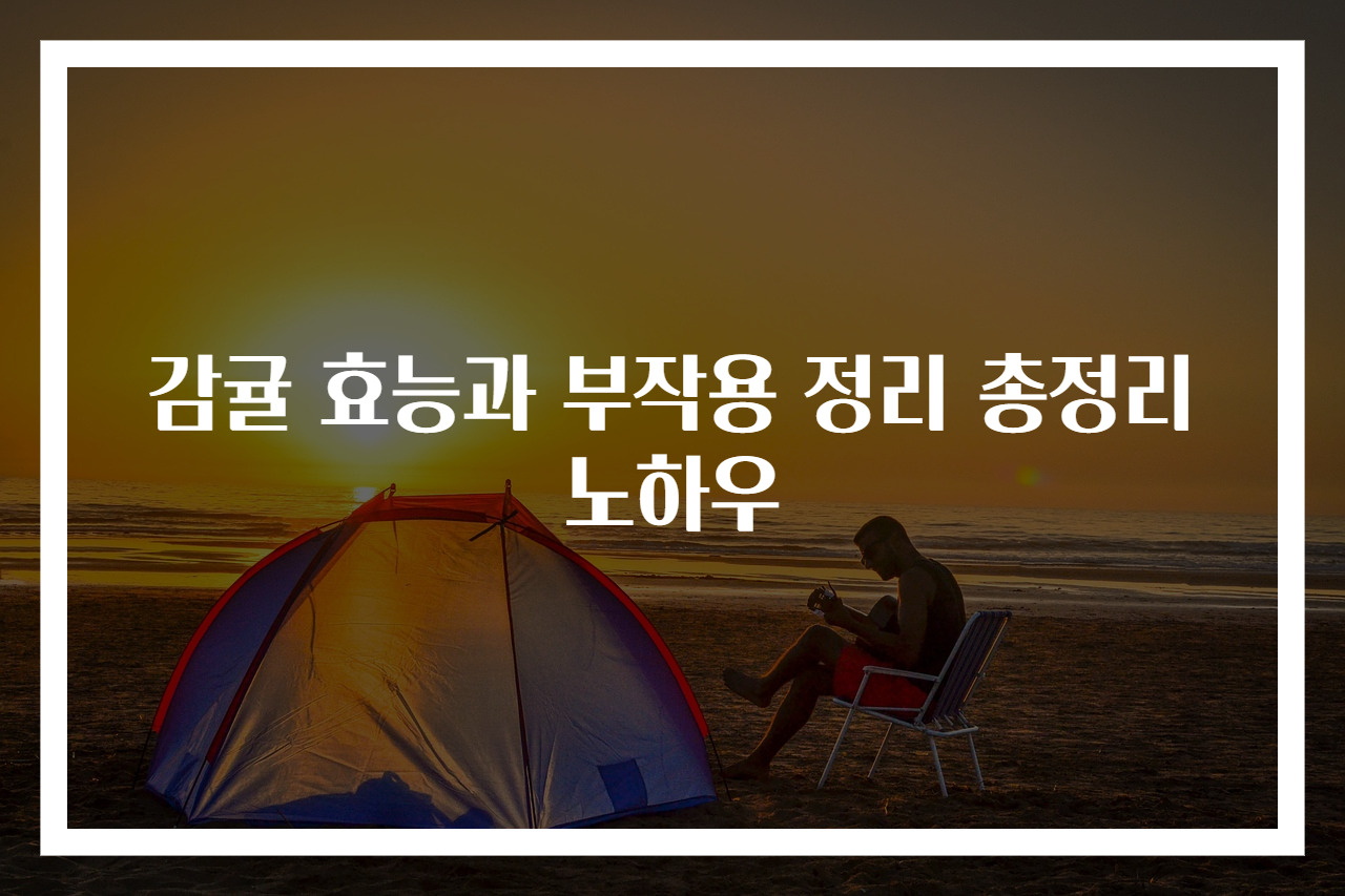 감귤 효능과 부작용 정리 총정리 노하우