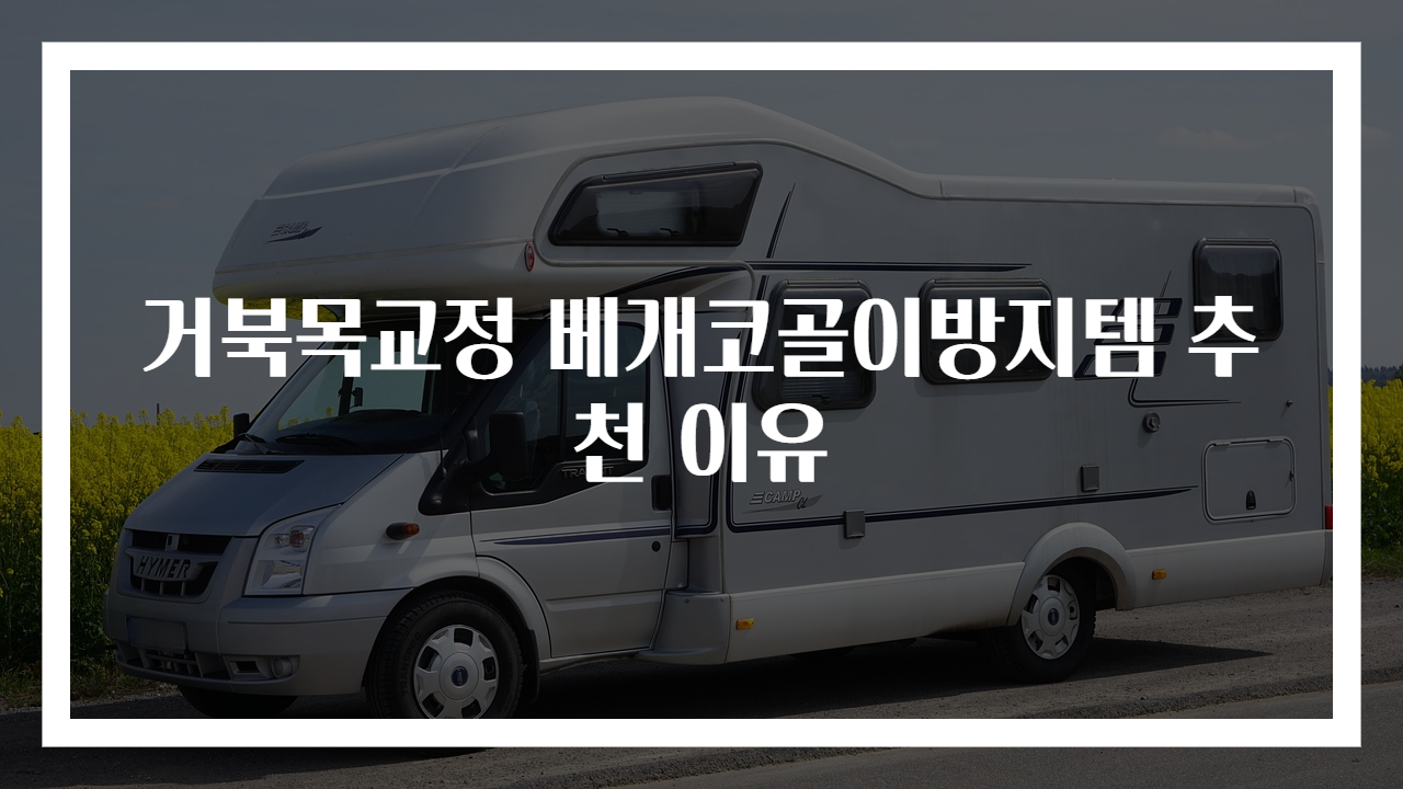 거북목교정 베개코골이방지템 추천 이유