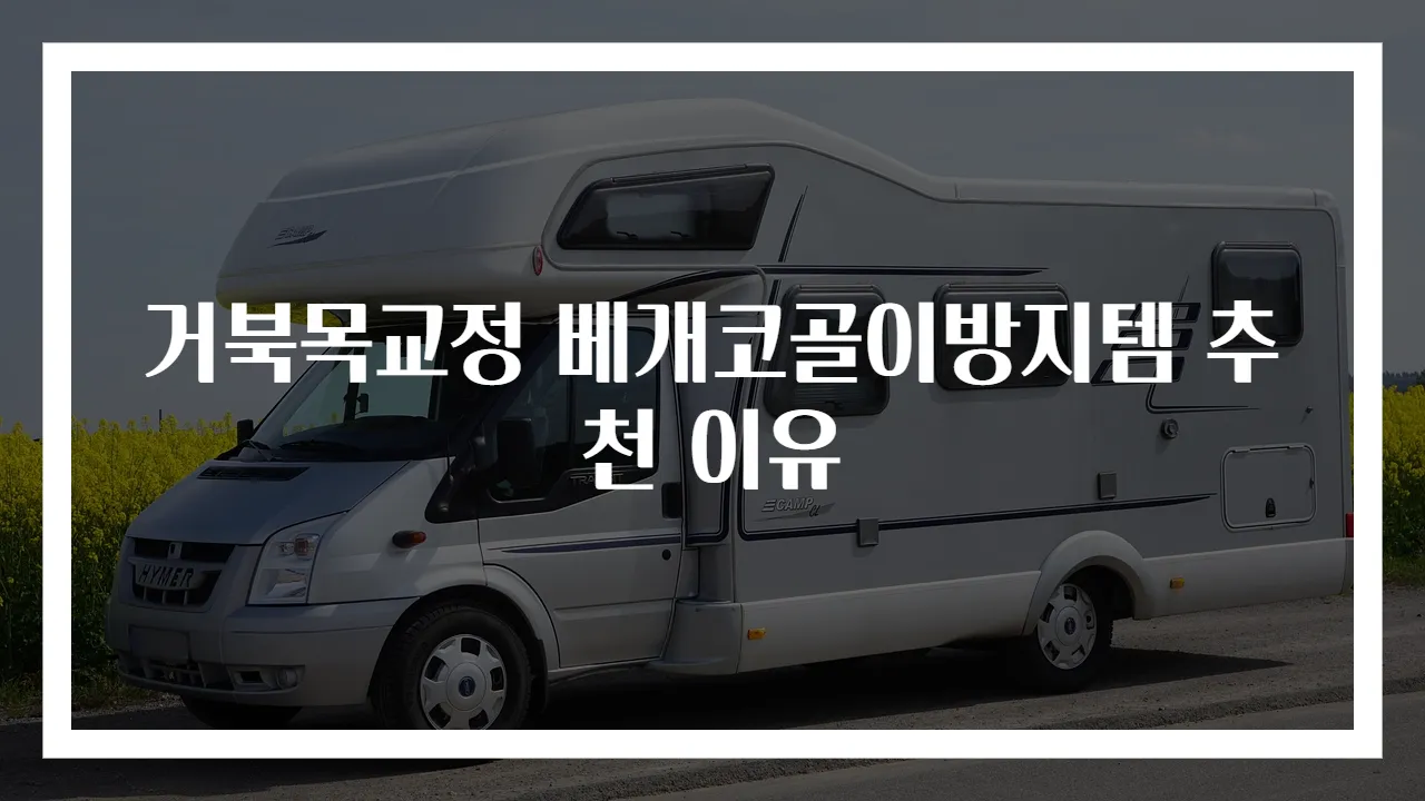 거북목교정 베개코골이방지템 추천 이유